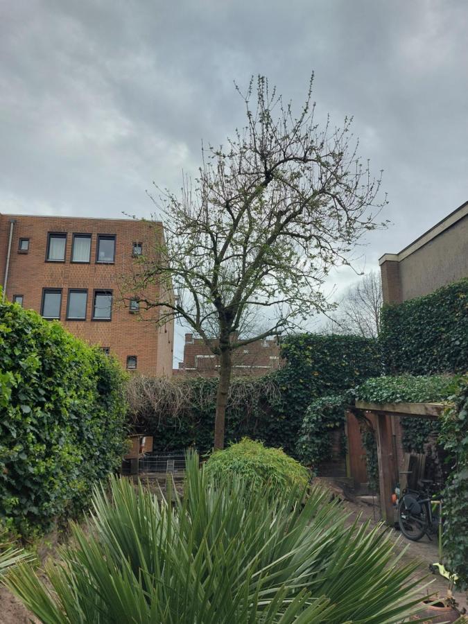 Saya Boutique Hotel Amersfoort Luaran gambar